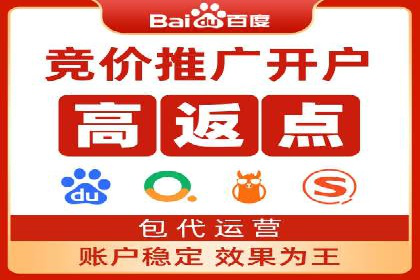 热门SEM运营公司案例深度剖析